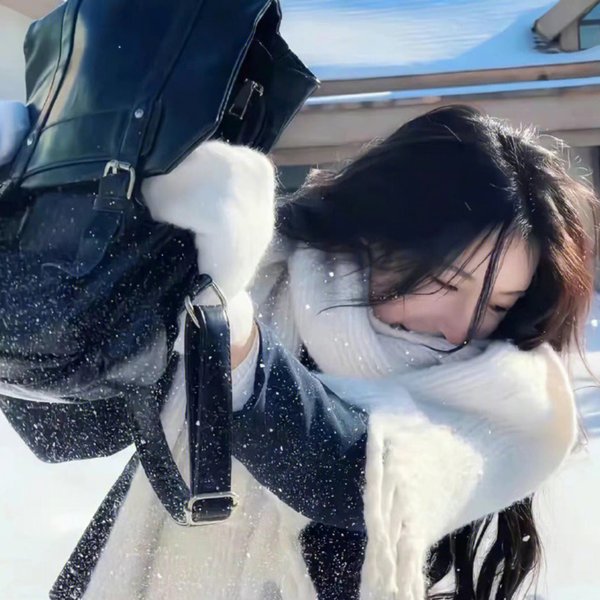 北部丛林